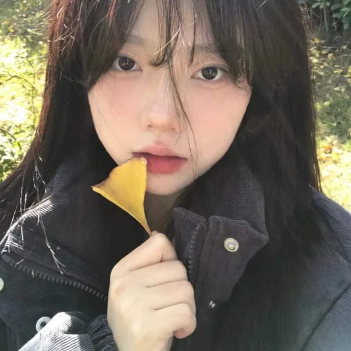 舰队收藏