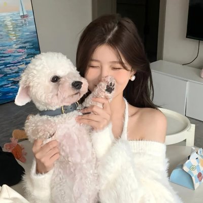 侦探人生第三季